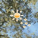 love, from the trees and the sun - physi